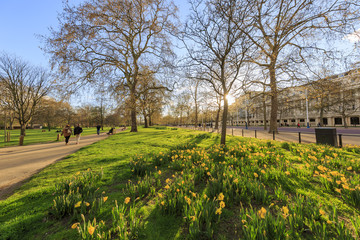 The beautiful St James's Park