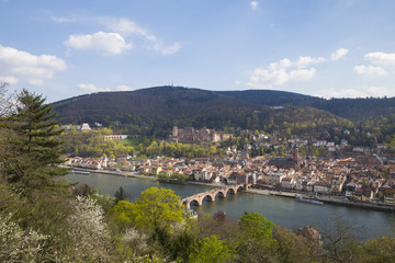 Fototapeta na wymiar Heidelberg view from Philosphenweg