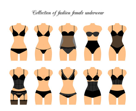 Female lingerie or female underwear set. Vector illustration