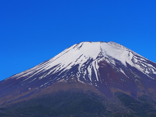 Fototapeta premium 初夏の富士山