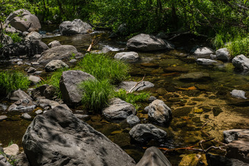 Wind, Water, Red Earth and Sedona