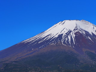 Fototapeta premium 初夏の富士山