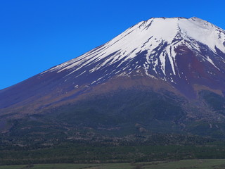 初夏の富士山