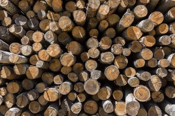 Möbelaufkleber Pile of wood logs stacked © KYNA STUDIO