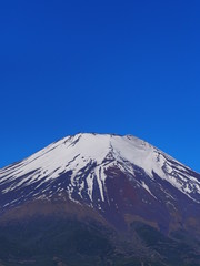 Fototapeta na wymiar 初夏の富士山