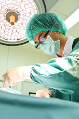 veterinarian surgery in operation room
