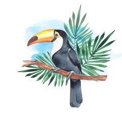 Toucan on branch. Watercolor illustration 4