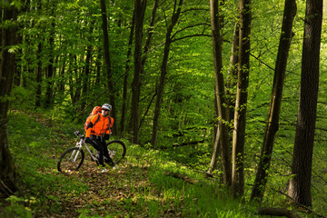Obraz premium Cyclist Riding the Bike on a Trail in Summer Forest