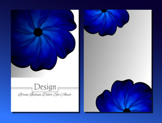 Set of vector design templates.Corporate Identity kit or business kit with artistic, abstract colorful design  for your business. Vector abstract booklet cover. Beauty brochure. Blue and white