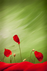 Three red poppy flowers and buds on green background with red cloth