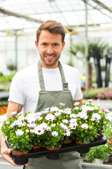 Young attractive man working at the plants nursery