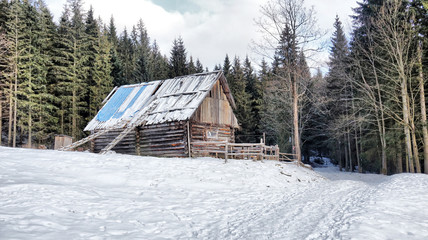 Lonely Wooden House in Winter Forest
