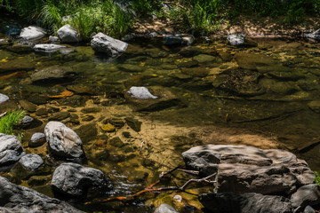 Wind, Water, Red Earth and Sedona