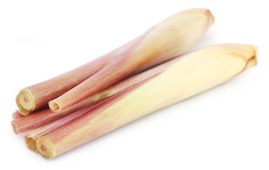 Pink lemongrass