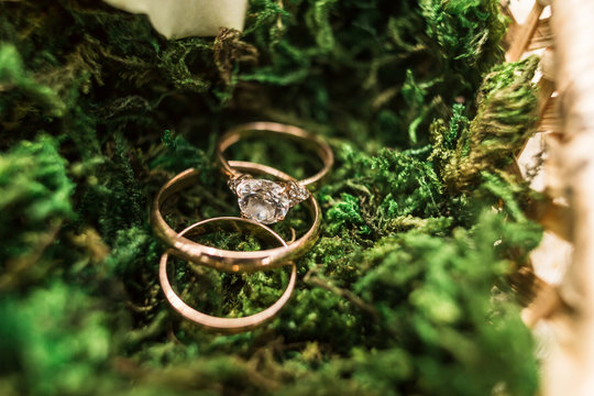 Gold Wedding Rings On Green Backgraund