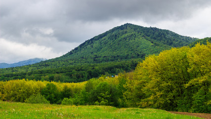 Fototapeta na wymiar Carpathian mountains, valley before rain. Ukraine.