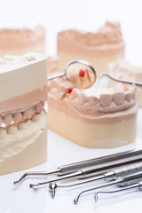 Teeth molds with basic dental tools on a bright white table