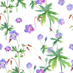 Watercolor floral seamless pattern with geranium