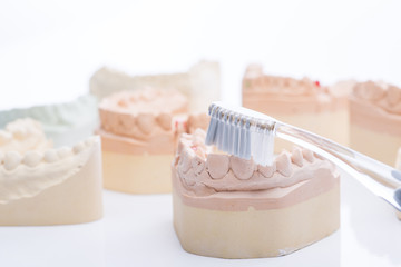 Obraz na płótnie Canvas Teeth molds with toothbrush on a bright white table