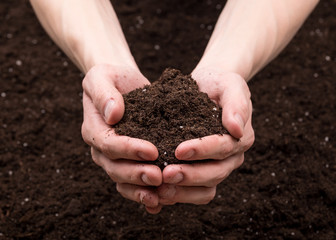 Soil in hands