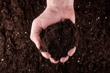 Soil in hands