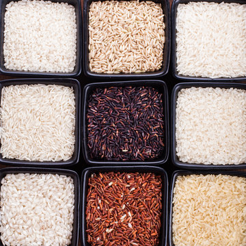 Various types of rice 