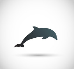Dolphin icon vector