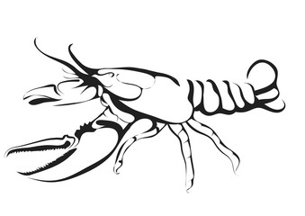 abstract silhouette of lobster