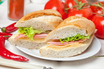 Italian panini sandwich.