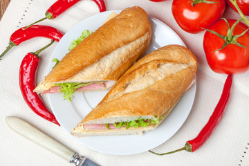 Italian panini sandwich.