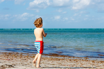 Little kid boy having fun on tropical beach