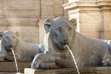 Fototapeta na wymiar Lion statue spitting water in The Fountain of Moses in Rome,Italy