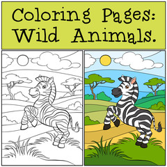 Coloring Pages: Wild Animals. Little cute zebra.