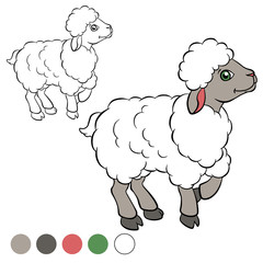 Coloring page. Color me: sheep.