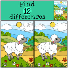 Obraz premium Children games: Find differences. Cute little sheep.