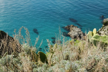 Capo Vaticano - Calabria
