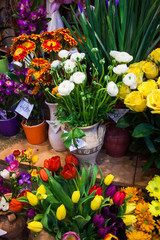 The flower market