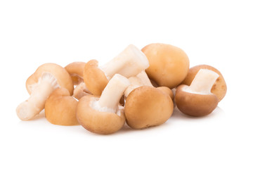 Shiitake Mushrooms isolated on the white background
