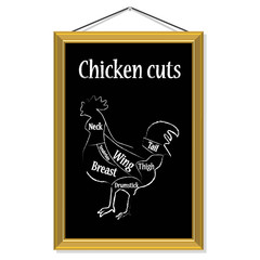 Chicken cuts vector