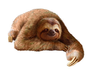 Happy sloth - obrazy, fototapety, plakaty
