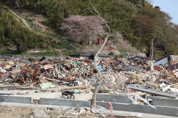 東日本大震災, 津波被害