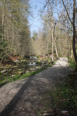 Wanderweg am Fluss im Wald