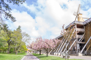 Fototapeta na wymiar spa garden and graduation house with windmill