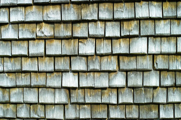 Old wood texture close up