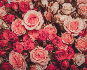 Abstract background of flowers Close-up