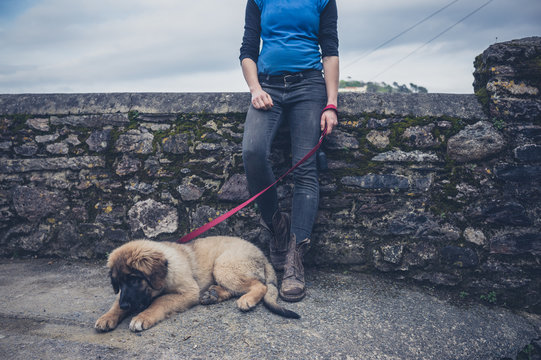 Woman by wall with Leonberger puppy