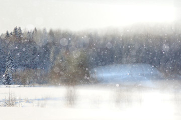 Fototapeta na wymiar winter background blur forest snowflakes bokeh