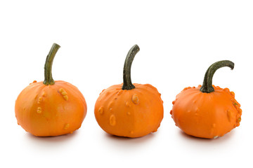Mini Pumpkins Isolated