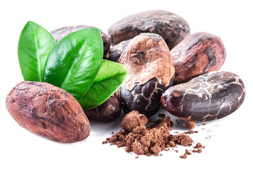 Cocoa beans.