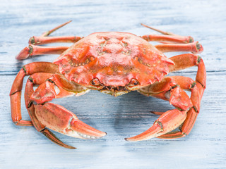 Cooked crab on old blue wooden table.